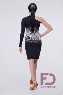 Long Sleeve Latin Dress One Shoulder Fringe Zebra Print